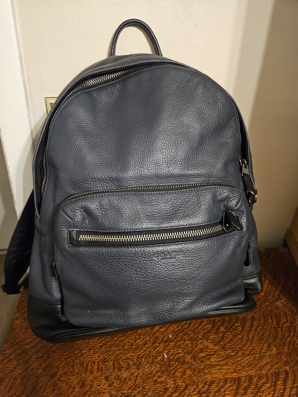 Coach Men's Pebbled Leather Backpack - Navy